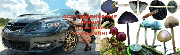 тгк Алексин