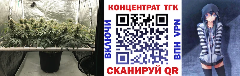 ТГК концентрат  Циолковский 