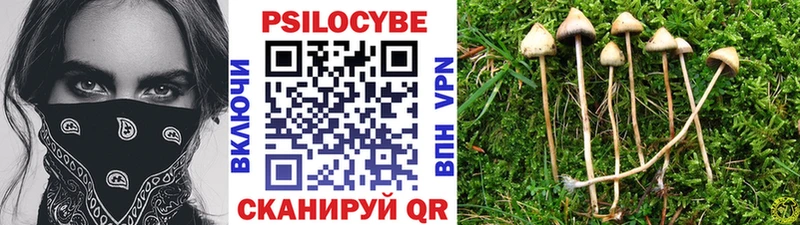 blacksprut ССЫЛКА  нарко площадка Telegram  Галлюциногенные грибы GOLDEN TEACHER  Циолковский 